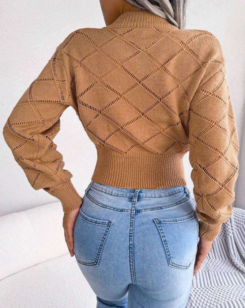 Solid Color Hollow Out Close Crop Knit Sweater 2035 - SWEETKAMA